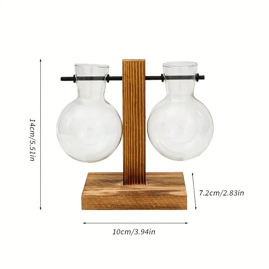 DecorBites™ Vintage Hydroponic Glass Vase