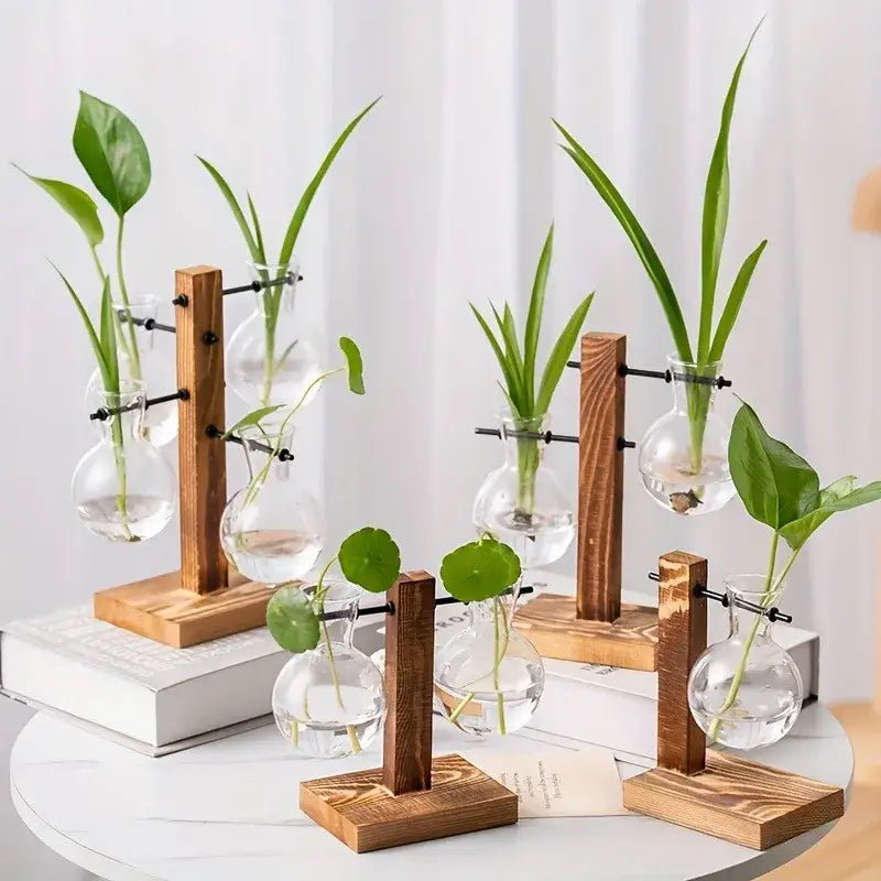DecorBites™ Vintage Hydroponic Glass Vase