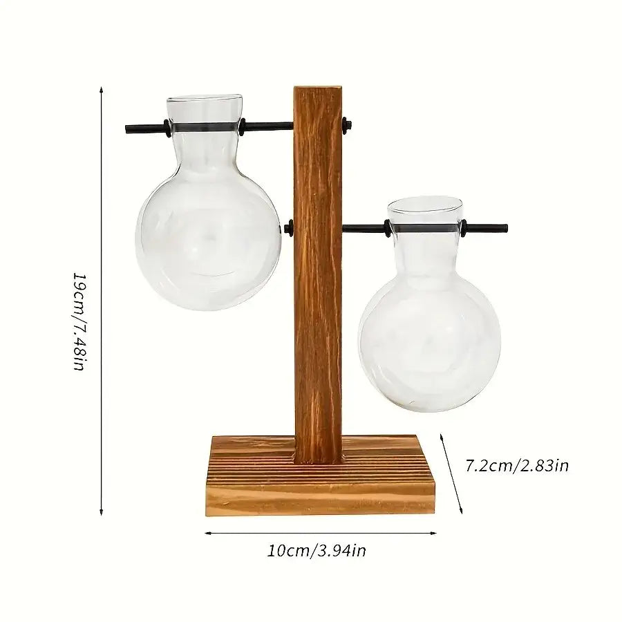 DecorBites™ Vintage Hydroponic Glass Vase